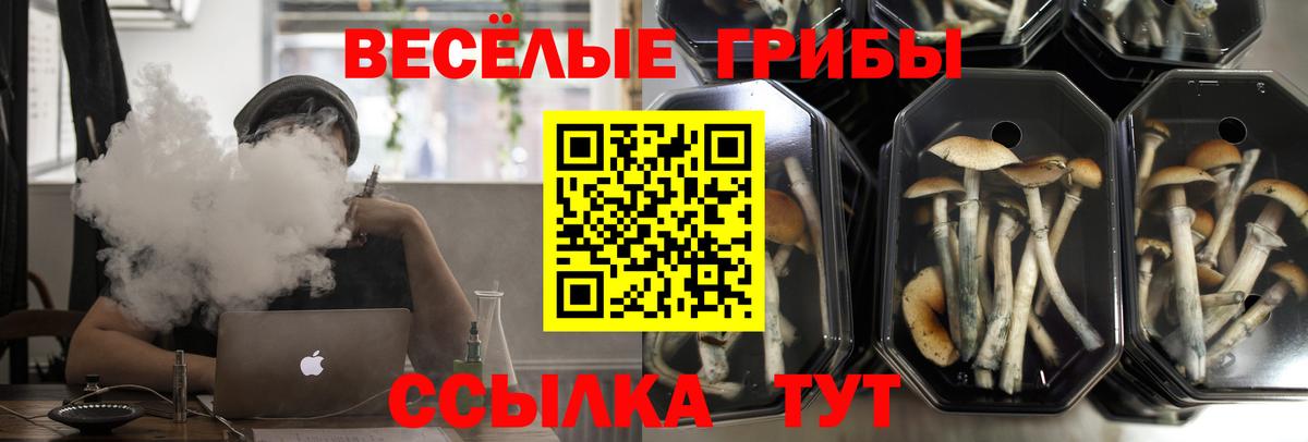 Тюмень  Галлюциногенные грибы Magic Shrooms  Псилоцибиновые грибы Cubensis  Вход с VPN 
